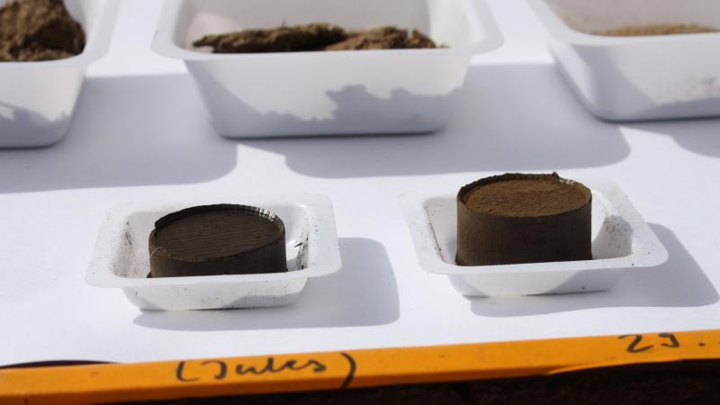 Hydrochar derived from poultry waste was produced in a lab at Ben-Gurion University in Israel. The hydrochar can be made into briquettes, which can be used as charcoal for cooking food. Hydrochar derived from poultry waste was produced in a lab at Ben-Gurion University in Israel. The hydrochar can be made into briquettes, which can be used as charcoal for cooking food.