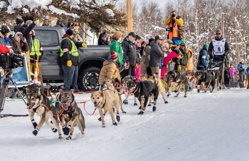 Peter Kaiser and his team of dogs take off at the start of the Iditarod race. Peter Kaiser and his team of dogs take off at the start of the Iditarod race.