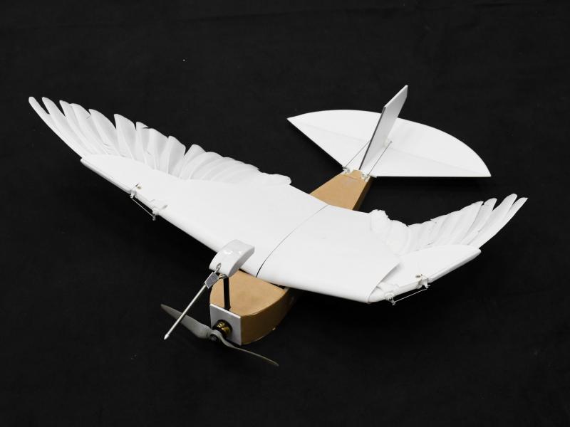 A team of Stanford University researchers designed the PigeonBot. A team of Stanford University researchers designed the PigeonBot.