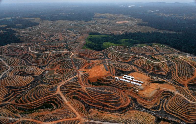 Deforested land on Indonesia's Borneo Island. Activists are using satellites to monitor deforestation, but cloud cover sometimes hides it from view. Deforested land on Indonesia's Borneo Island. Activists are using satellites to monitor deforestation, but cloud cover sometimes hides it from view.