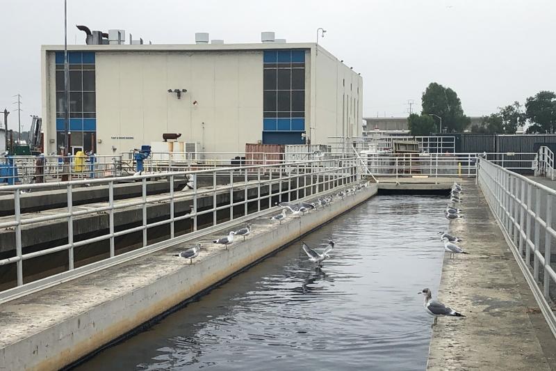 The wastewater facility in San Jose, Calif., processes sewage from about 1.4 million people and 22,000 businesses. The facility is part of a network of communities testing their wastewater for the omicron variant of the coronavirus. The wastewater facility in San Jose, Calif., processes sewage from about 1.4 million people and 22,000 businesses. The facility is part of a network of communities testing their wastewater for the omicron variant of the coronavirus.