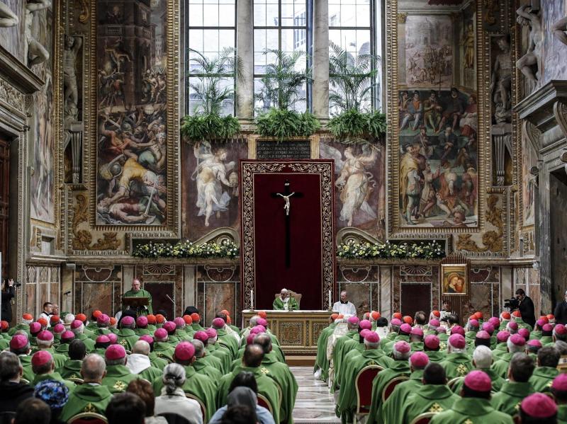 Pope Francis celebrated a final Mass on Sunday to conclude his unprecedented summit of Catholic leaders on clergy sexual abuse. Pope Francis celebrated a final Mass on Sunday to conclude his unprecedented summit of Catholic leaders on clergy sexual abuse.