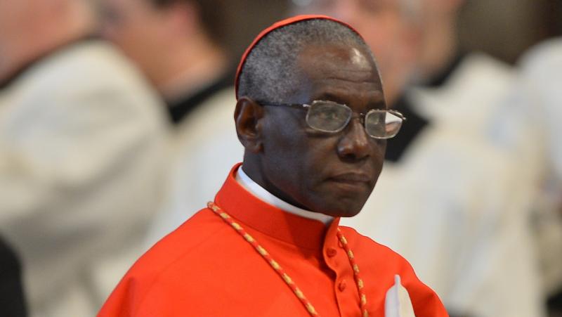 Cardinal Robert Sarah attends a mass at the St Peter's Basilica on March 12, 2013 at the Vatican. The Holy See Press Office announced that Sarah stepped down from his leadership position. Cardinal Robert Sarah attends a mass at the St Peter's Basilica on March 12, 2013 at the Vatican. The Holy See Press Office announced that Sarah stepped down from his leadership position.