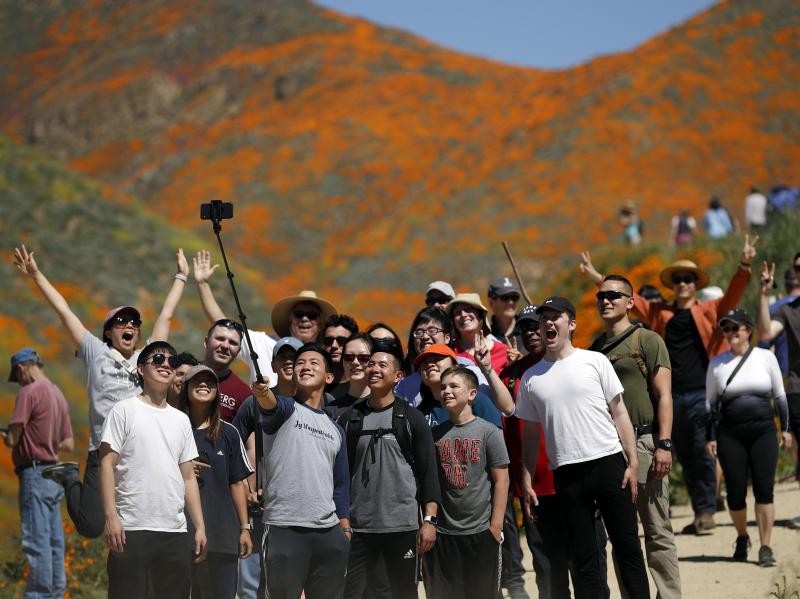 People pose for a picture among wildflowers in bloom Monday in Lake Elsinore, Calif. People pose for a picture among wildflowers in bloom Monday in Lake Elsinore, Calif.