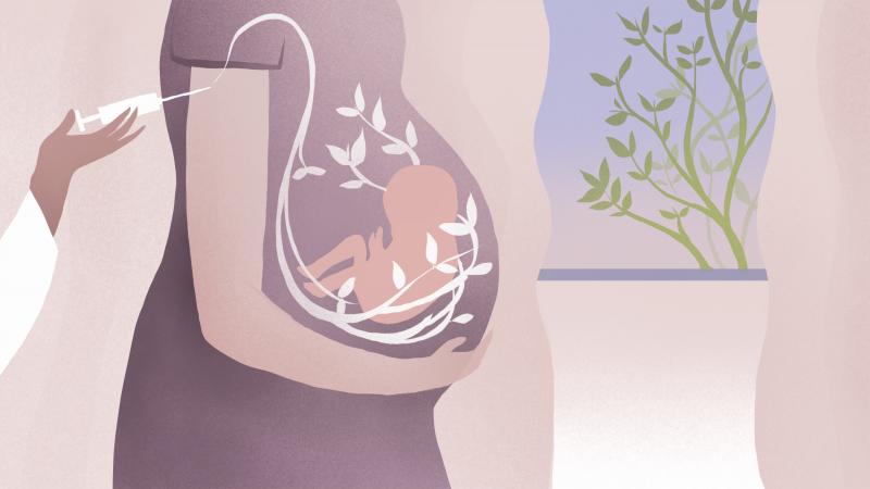 A vaccine given during pregnancy protects the baby against whooping cough, but only about 50 percent of pregnant women get it. A vaccine given during pregnancy protects the baby against whooping cough, but only about 50 percent of pregnant women get it.