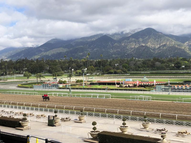 A few horses and riders are seen on the track at Santa Anita Park, in Arcadia, Calif., in March. Fifty-six horses have died there since July 2018. A few horses and riders are seen on the track at Santa Anita Park, in Arcadia, Calif., in March. Fifty-six horses have died there since July 2018.