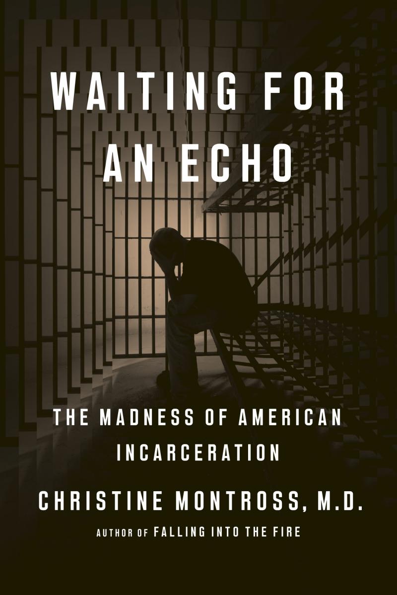 Waiting for an Echo, by Christine Montross Waiting for an Echo, by Christine Montross