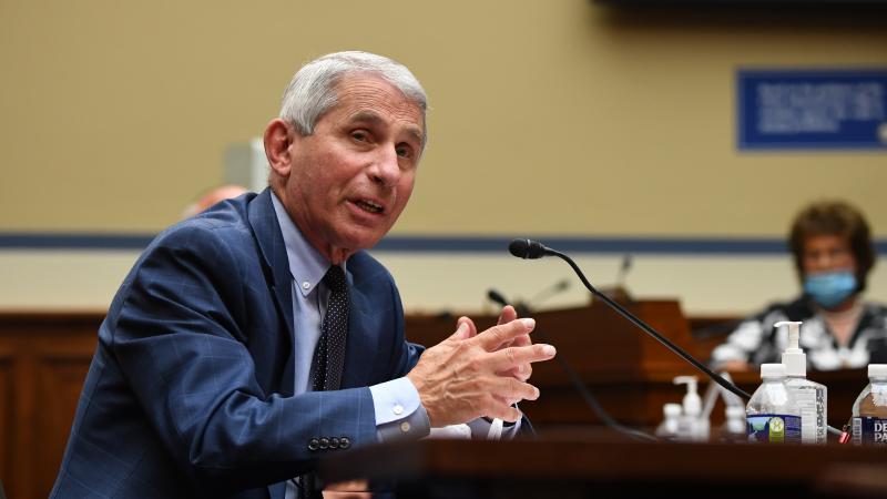 Dr. Anthony Fauci, director of the National Institute for Allergy and Infectious Diseases, is pictured in a hearing on July 31. He is testifying on Wednesday alongside other top health officials in a Senate panel hearing. Dr. Anthony Fauci, director of the National Institute for Allergy and Infectious Diseases, is pictured in a hearing on July 31. He is testifying on Wednesday alongside other top health officials in a Senate panel hearing.