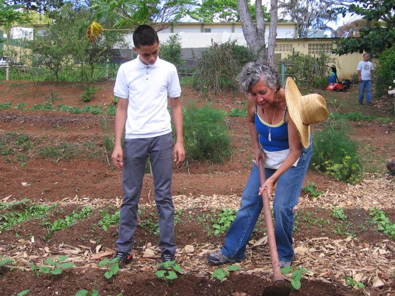 Dalma Cartagena teaches a class on agricultural science to elementary-school students in Orocovis, Puerto Rico. "I'm preparing them to make good decisions when it comes to the environment and healthy foods," she says. Dalma Cartagena teaches a class on agricultural science to elementary-school students in Orocovis, Puerto Rico. "I'm preparing them to make good decisions when it comes to the environment and healthy foods," she says.