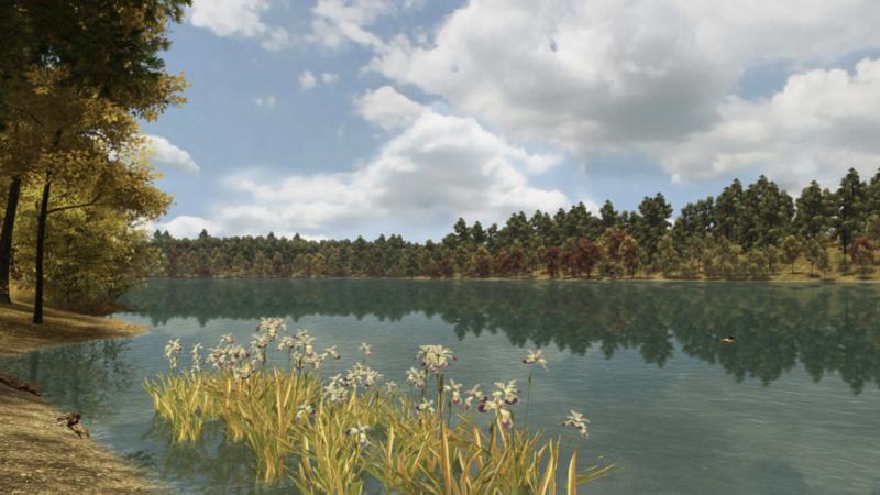 Blue flag blooming along Walden Pond in early fall. Blue flag blooming along Walden Pond in early fall.