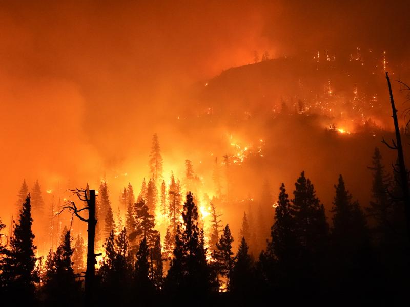 The Creek Fire burns in the Sierra National Forest on Sunday. The Creek Fire burns in the Sierra National Forest on Sunday.