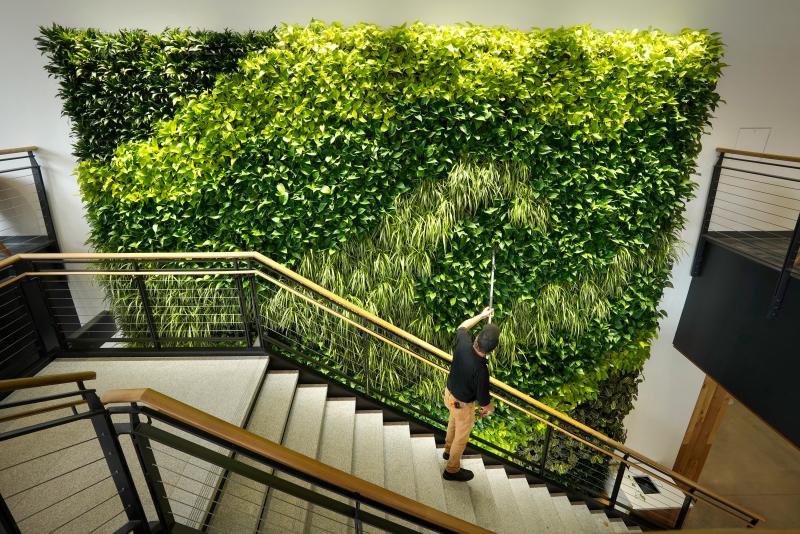 Architects say making the office more like the outdoors — with filtered air and good ventilation — will be a priority post-pandemic. This living wall in the Danielle N. Ripich Commons at the University of New England in Biddeford, Maine, is one such a Architects say making the office more like the outdoors — with filtered air and good ventilation — will be a priority post-pandemic. This living wall in the Danielle N. Ripich Commons at the University of New England in Biddeford, Maine, is one such a