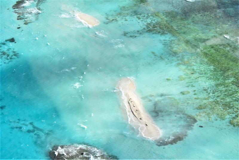 An aerial view of Hawaii's East Island after it was struck by Hurricane Walaka last month. The island, home to endangered monk seals and Hawaiian green sea turtles, nearly disappeared after the storm. An aerial view of Hawaii's East Island after it was struck by Hurricane Walaka last month. The island, home to endangered monk seals and Hawaiian green sea turtles, nearly disappeared after the storm.