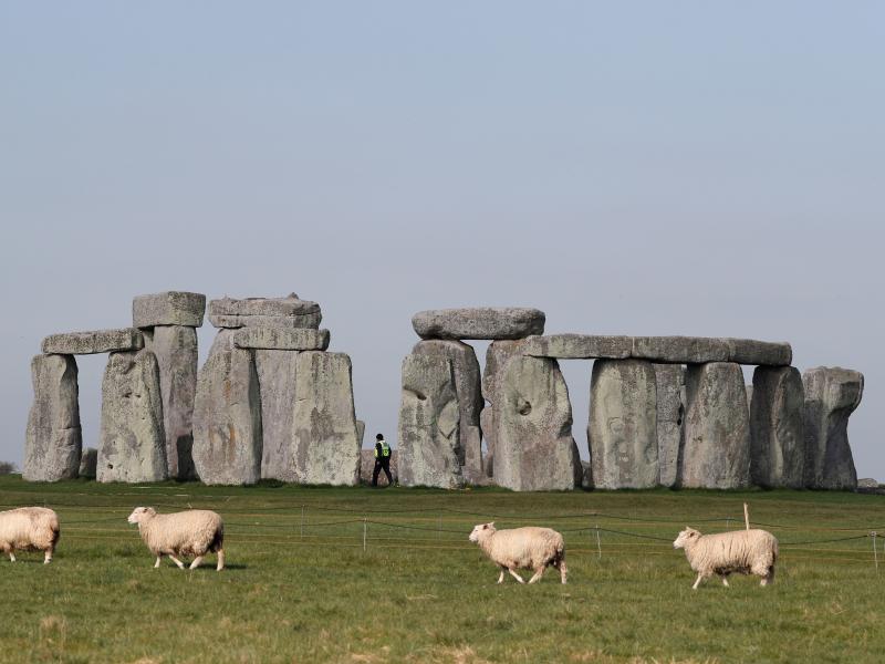 Sheep graze in front of southern England's Stonehenge in April. Scientists say they've determined some of the structure's sandstone megaliths came from 15 miles away. Sheep graze in front of southern England's Stonehenge in April. Scientists say they've determined some of the structure's sandstone megaliths came from 15 miles away.