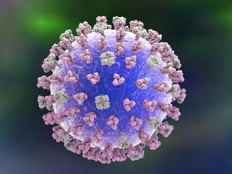 Most efforts to develop a universal flu vaccine have focused on the lollipop-shaped hemagglutinin protein (pink in this illustration of a flu virus). Most efforts to develop a universal flu vaccine have focused on the lollipop-shaped hemagglutinin protein (pink in this illustration of a flu virus).