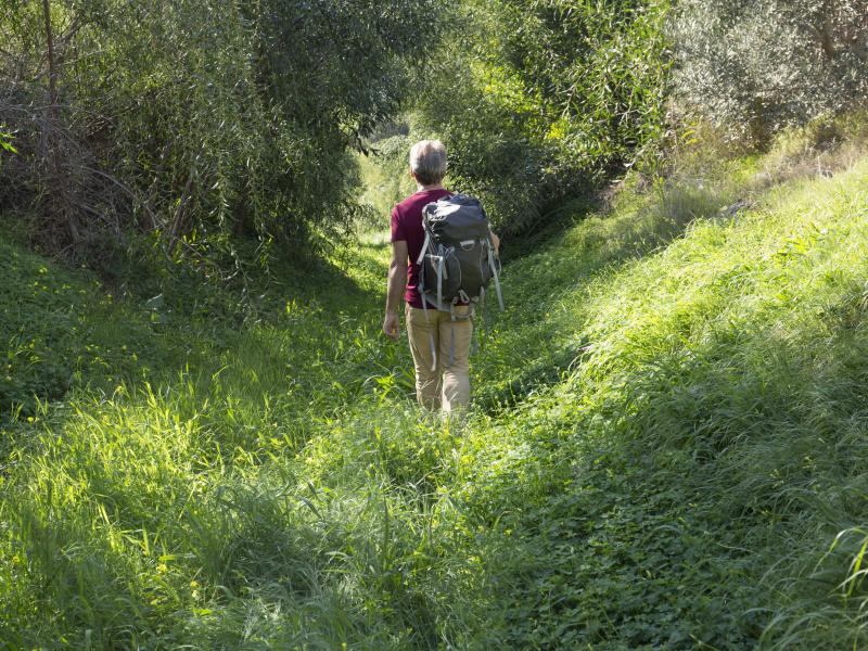 Time outdoors leaves you vulnerable to tick bites and the diseases they can transmit. New research seeks to a better picture of the geographic spread of ticks that carry dangerous pathogens. Time outdoors leaves you vulnerable to tick bites and the diseases they can transmit. New research seeks to a better picture of the geographic spread of ticks that carry dangerous pathogens.