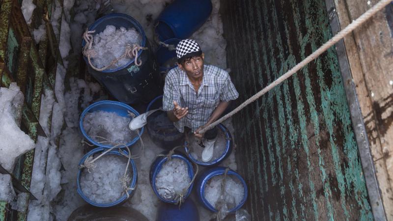 Thailand's fishing industry remains the home of widespread labor and rights abuses, Human Rights Watch says. In this photo from 2016, a fisherman is seen in the freezer hold of a boat unloading fish after arriving at a Thai port. Thailand's fishing industry remains the home of widespread labor and rights abuses, Human Rights Watch says. In this photo from 2016, a fisherman is seen in the freezer hold of a boat unloading fish after arriving at a Thai port.