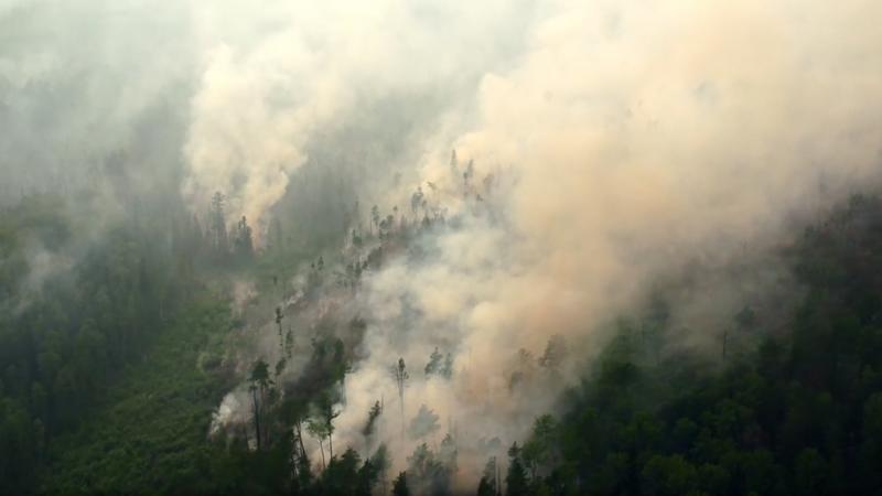 An aerial view of a forest fire in Russia's Krasnoyarsk Territory. An aerial view of a forest fire in Russia's Krasnoyarsk Territory.