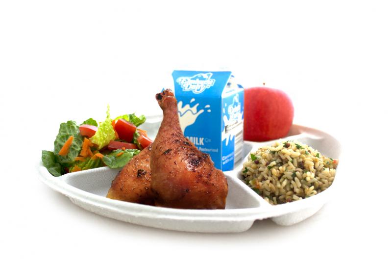 The new lunch plates are made from recycled newsprint and are easier for kids to hold, says Eric Goldstein, chairman of the Urban School Food Alliance. The new lunch plates are made from recycled newsprint and are easier for kids to hold, says Eric Goldstein, chairman of the Urban School Food Alliance.