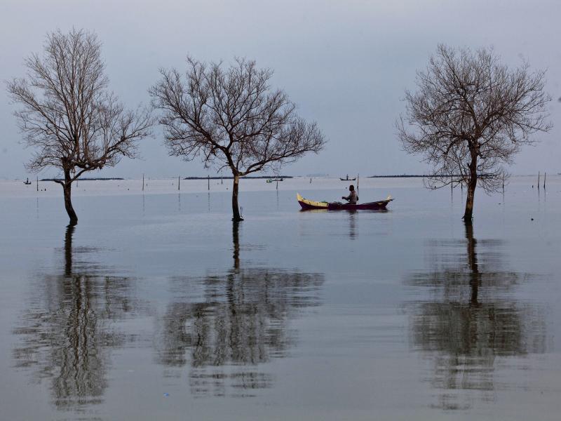 Floodwaters from rising sea levels have submerged and killed trees in Bedono village in Demak, Central Java, Indonesia. As oceans warm, they expand and erode the shore. Residents of Java's coastal villages have been hit hard by rising sea levels in recent Floodwaters from rising sea levels have submerged and killed trees in Bedono village in Demak, Central Java, Indonesia. As oceans warm, they expand and erode the shore. Residents of Java's coastal villages have been hit hard by rising sea levels in recent