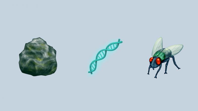 The scientific community has lots of feelings about emoji representation. Geologists are excited about the new rock emoji, for example, but reviews are mixed when it comes to the fly. The scientific community has lots of feelings about emoji representation. Geologists are excited about the new rock emoji, for example, but reviews are mixed when it comes to the fly.