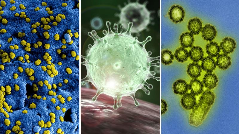 A rogues gallery of the viruses (left to right) that cause MERS, SARS, and influenza. A rogues gallery of the viruses (left to right) that cause MERS, SARS, and influenza.