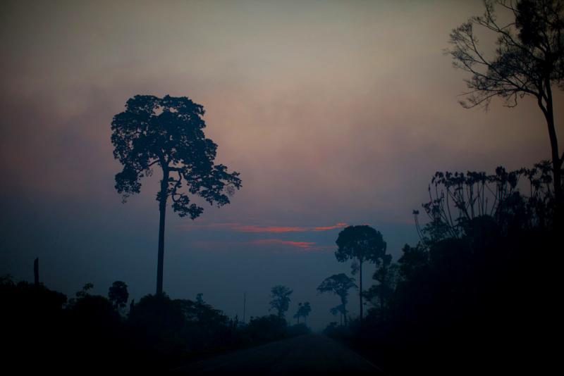 Sunset colors cut through the smoky haze in the Brazilian Amazon. Sunset colors cut through the smoky haze in the Brazilian Amazon.