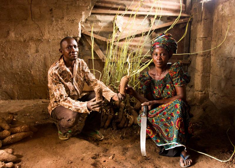 Ladi Adaikwu, right, and her business partner, Musa Ogbeba, run one of the few high-quality seed yam shops in central Nigeria. Ladi Adaikwu, right, and her business partner, Musa Ogbeba, run one of the few high-quality seed yam shops in central Nigeria.