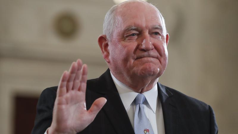 Former Georgia Gov. Sonny Perdue is sworn-in before a Senate panel on Capitol Hill last month, prior to testifying at his confirmation hearing to be secretary of agriculture. Former Georgia Gov. Sonny Perdue is sworn-in before a Senate panel on Capitol Hill last month, prior to testifying at his confirmation hearing to be secretary of agriculture.