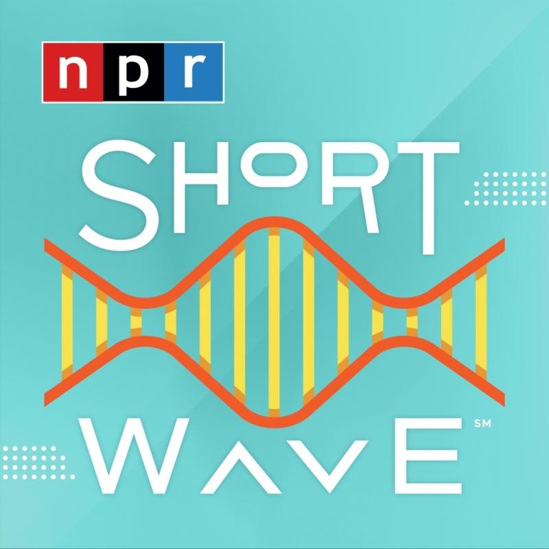 Short Wave Logo Short Wave Logo