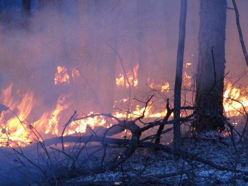 Winter is peak time for prescribed burns, deliberately set fires designed to eliminate leaves and other flammable material that could fuel a larger forest fire. But the partial government shutdown is interfering with this and other preparations for the fi Winter is peak time for prescribed burns, deliberately set fires designed to eliminate leaves and other flammable material that could fuel a larger forest fire. But the partial government shutdown is interfering with this and other preparations for the fi