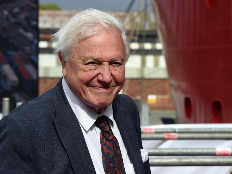 Sir David Attenborough, shown here during a ceremony last September, broke the world record on Thursday for the fastest time to reach one million followers on Instagram. Sir David Attenborough, shown here during a ceremony last September, broke the world record on Thursday for the fastest time to reach one million followers on Instagram.