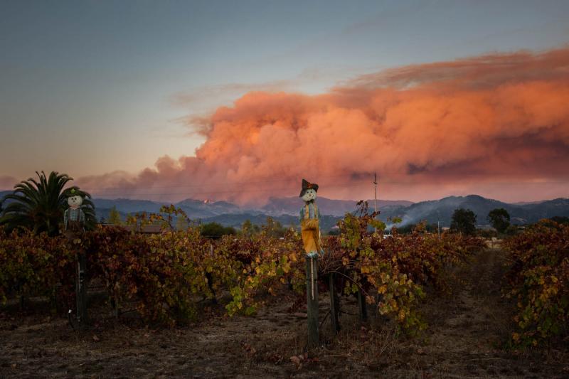 Outside of risks from the fire's heat — and any health risks related to a long-term power outage — the main health concern in wildfire conditions is smoke, which produces particulate matter that can penetrate deep into the lungs, increasing the risk o Outside of risks from the fire's heat — and any health risks related to a long-term power outage — the main health concern in wildfire conditions is smoke, which produces particulate matter that can penetrate deep into the lungs, increasing the risk o