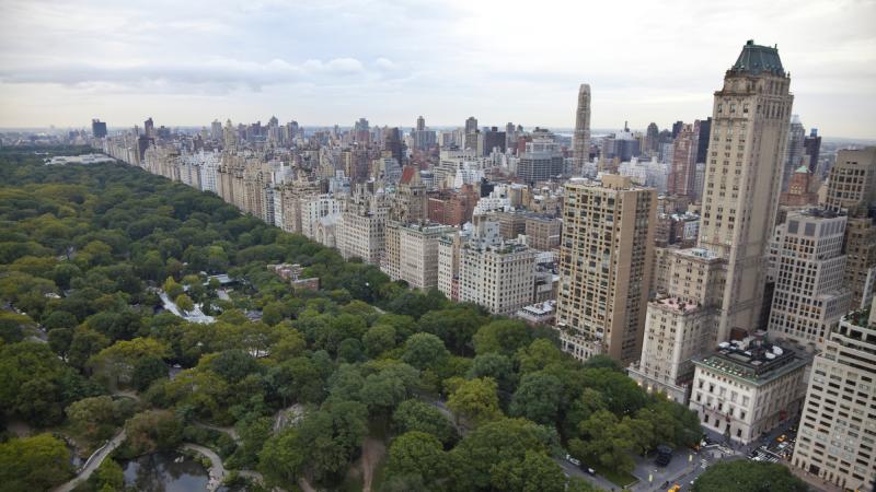 The Bronx may be up and the Battery down, but Central Park is where an amazing wealth of different sorts of microbes play. The Bronx may be up and the Battery down, but Central Park is where an amazing wealth of different sorts of microbes play.