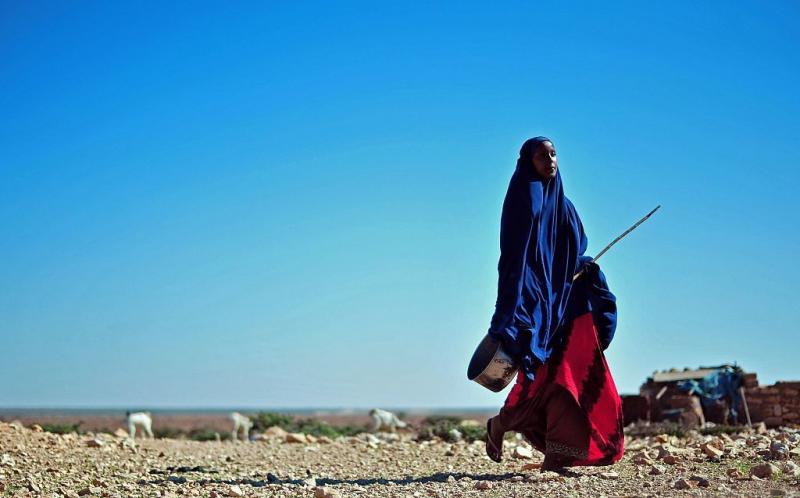 Drought in Somalia has severely affected livestock for local herdsmen, as well as farmers' crops. The U.N. says action is needed to prevent famine in the region. Drought in Somalia has severely affected livestock for local herdsmen, as well as farmers' crops. The U.N. says action is needed to prevent famine in the region.