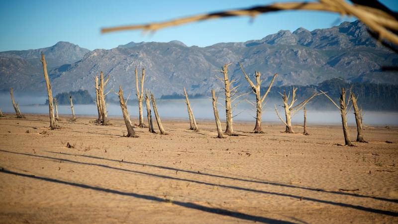 The Theewaterskloof Dam is at just 13 percent capacity and is full of sand and dried tree trunks. About 85 miles north of Cape Town, the dam supplies both city and local farmers. The Theewaterskloof Dam is at just 13 percent capacity and is full of sand and dried tree trunks. About 85 miles north of Cape Town, the dam supplies both city and local farmers.