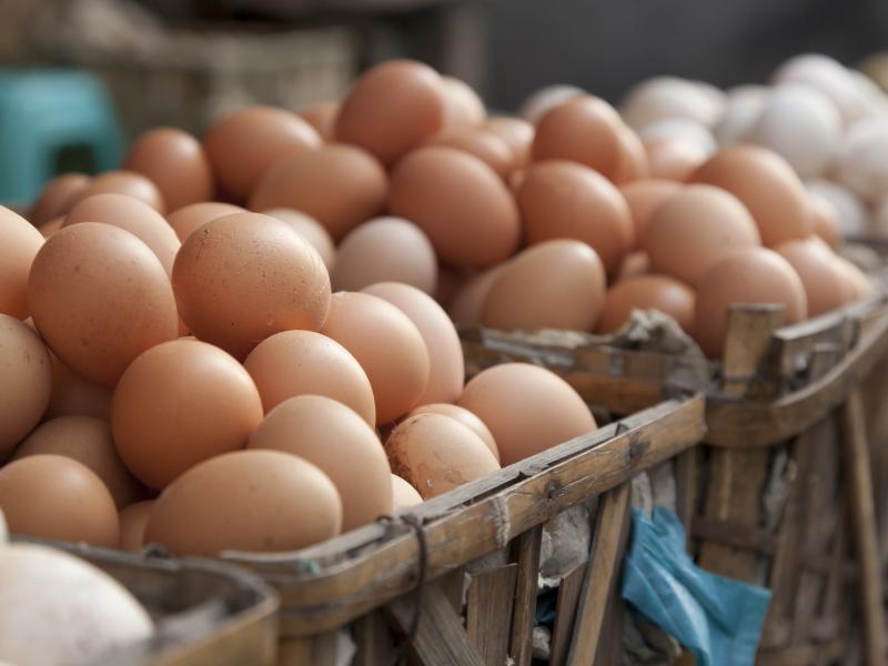 Statisticians say it may not be wise to put all their eggs in the significance basket. Statisticians say it may not be wise to put all their eggs in the significance basket.
