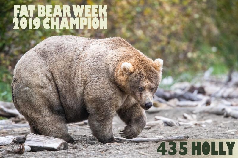 "Holly" is the winner of this year's Fat Bear Week. "Holly" is the winner of this year's Fat Bear Week.