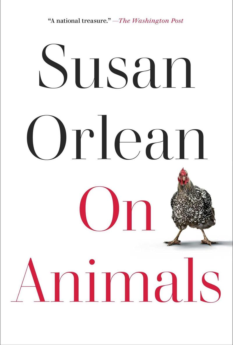 On Animals, by Susan Orlean On Animals, by Susan Orlean