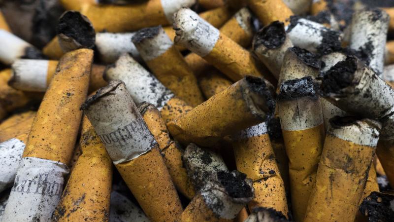 The FDA hopes that a new limit on nicotine levels in cigarettes will help people stop smoking or avoid the habit altogether. The FDA hopes that a new limit on nicotine levels in cigarettes will help people stop smoking or avoid the habit altogether.