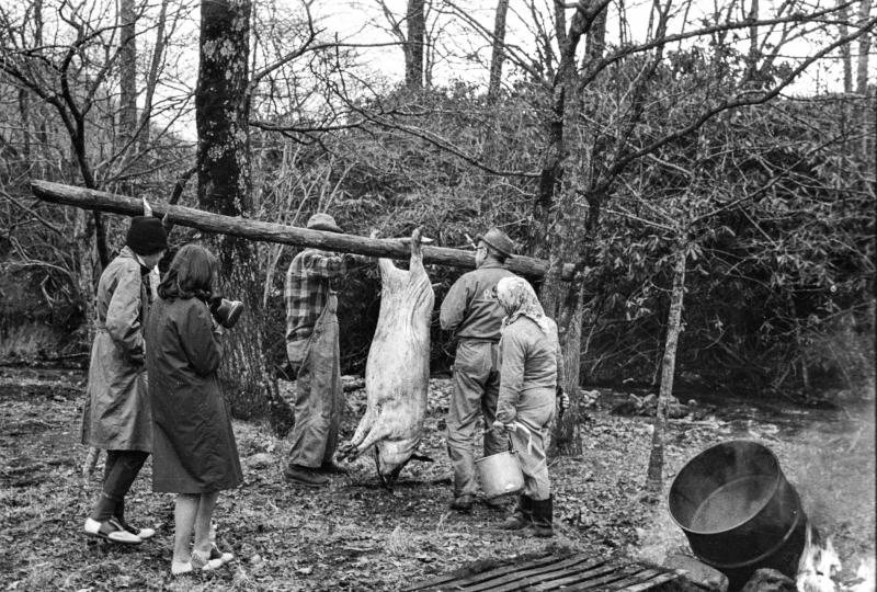 In an image from the first Foxfire book, students in 1969 look on as Hobe Beasley, John Hopper and Hopper's wife suspend a hog for finishing the work of scalding and scraping. In an image from the first Foxfire book, students in 1969 look on as Hobe Beasley, John Hopper and Hopper's wife suspend a hog for finishing the work of scalding and scraping.