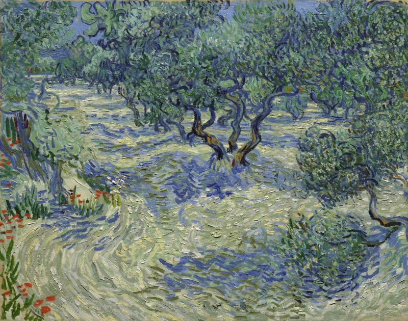 Vincent Van Gogh's Olive Trees, made with oil on canvas in 1889. See the shadow cast by that small tree on the far right side? There's a grasshopper lurking in that shade. Vincent Van Gogh's Olive Trees, made with oil on canvas in 1889. See the shadow cast by that small tree on the far right side? There's a grasshopper lurking in that shade.