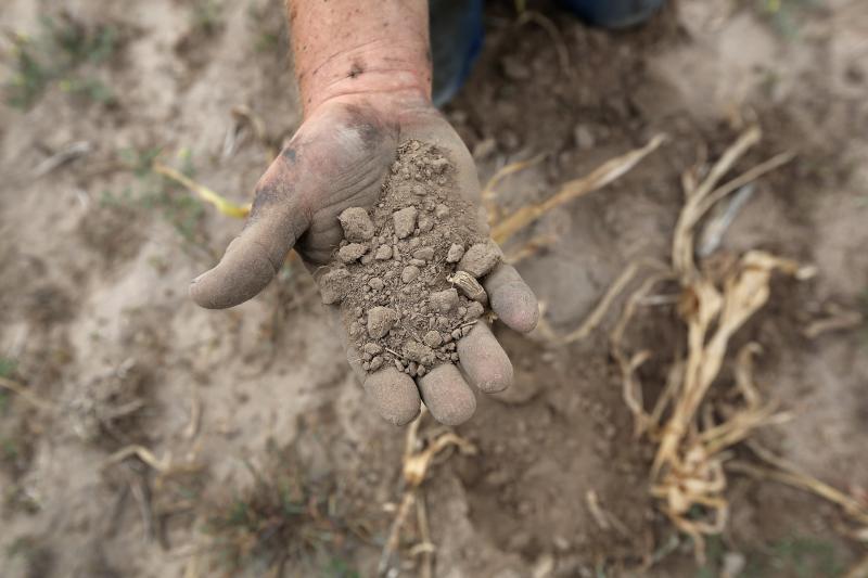 Historic Drought Cripples Farms And Ranches In American West Historic Drought Cripples Farms And Ranches In American West