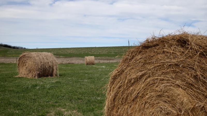 As candidates, staff and media flood Iowa, there will inevitably be photo ops with grain silos and bales of hay. As candidates, staff and media flood Iowa, there will inevitably be photo ops with grain silos and bales of hay.