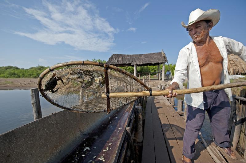 An artisanal fisherman in Mexico shows his small catch of jaiba — a species of crab. An artisanal fisherman in Mexico shows his small catch of jaiba — a species of crab.