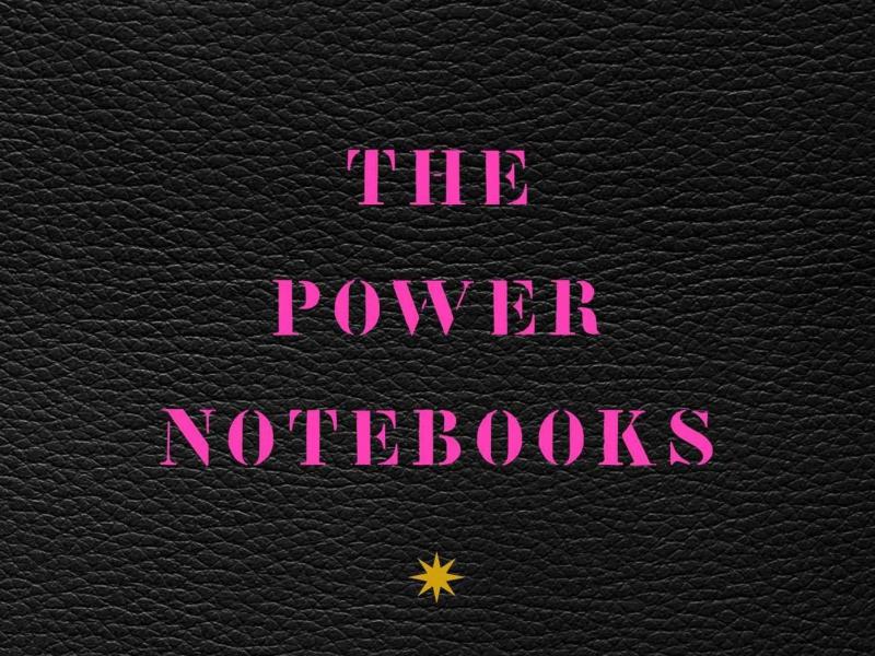 The Power Notebooks, by Katie Roiphe The Power Notebooks, by Katie Roiphe