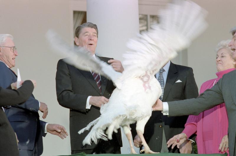 This turkey seemed to be in a fowl mood in 1987 when Ronald Reagan used the word "pardon" for the first time in reference to sparing a Thanksgiving turkey. This turkey seemed to be in a fowl mood in 1987 when Ronald Reagan used the word "pardon" for the first time in reference to sparing a Thanksgiving turkey.