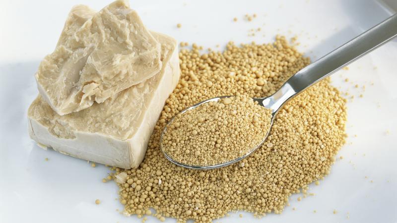 Fresh and dried yeast. It might not look like much, but it has shaped the way we eat and live, according to a new book. Fresh and dried yeast. It might not look like much, but it has shaped the way we eat and live, according to a new book.