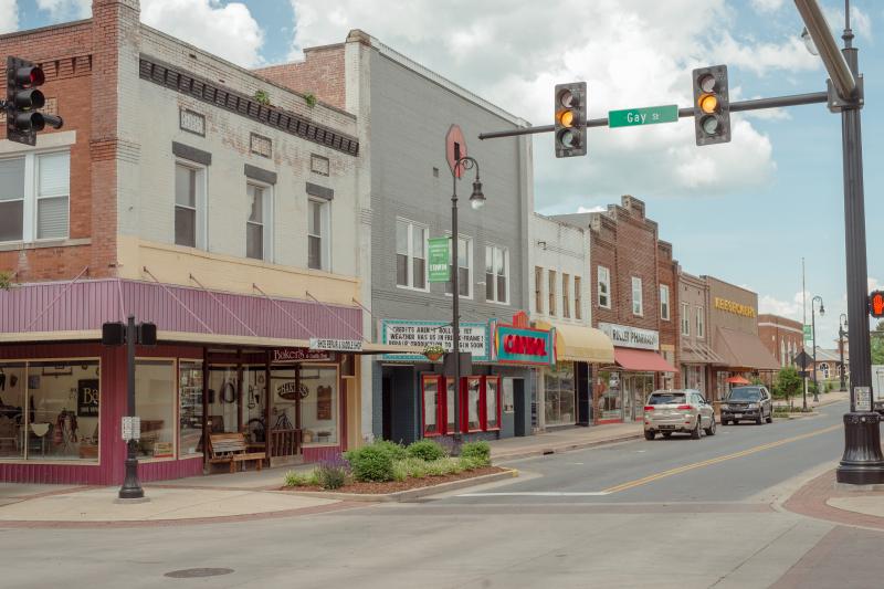 The town of Erwin was the site of the now famous hanging of Mary the elephant in 1916. The town of Erwin was the site of the now famous hanging of Mary the elephant in 1916.