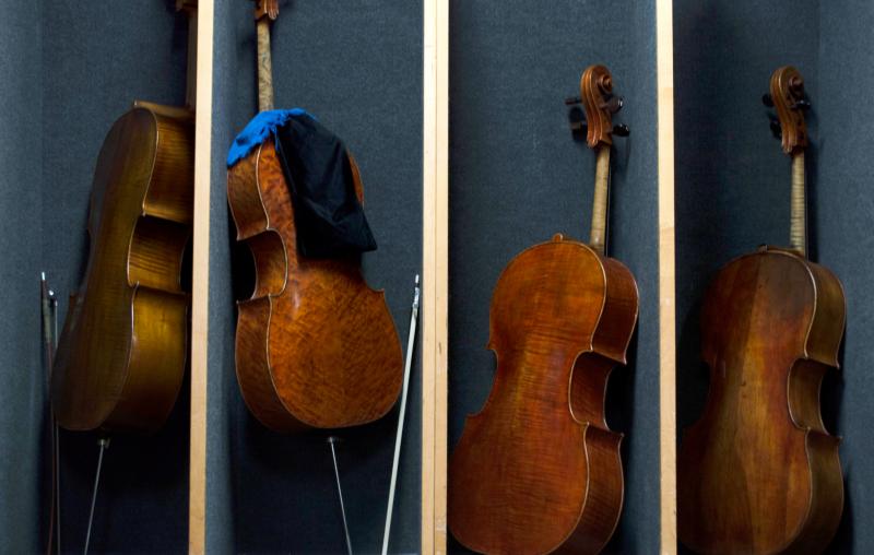 Cellos are lined up backstage at the Chicago Symphony Orchestra before a Nov. 8 rehearsal of Schubert's Ninth Symphony. The CITES Rosewood regulations have made some musicians apprehensive about taking instruments containing the wood across international Cellos are lined up backstage at the Chicago Symphony Orchestra before a Nov. 8 rehearsal of Schubert's Ninth Symphony. The CITES Rosewood regulations have made some musicians apprehensive about taking instruments containing the wood across international